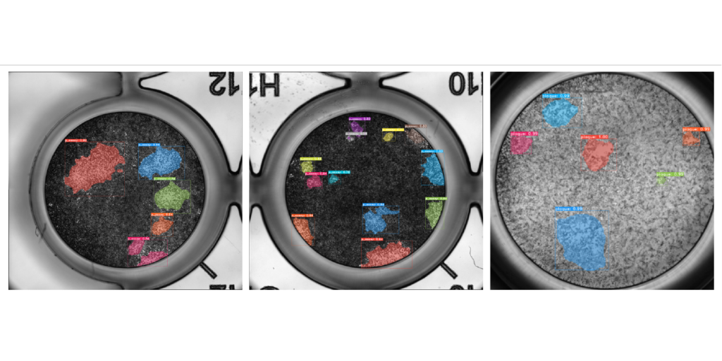 Plaque Assays helmholtzimaging.de