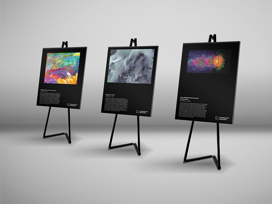 Display of the three winning images of the 2022 best scientific image contest
