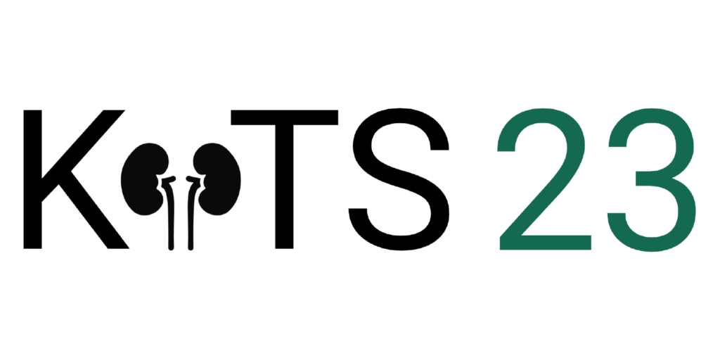 Logo of KiTS 2023