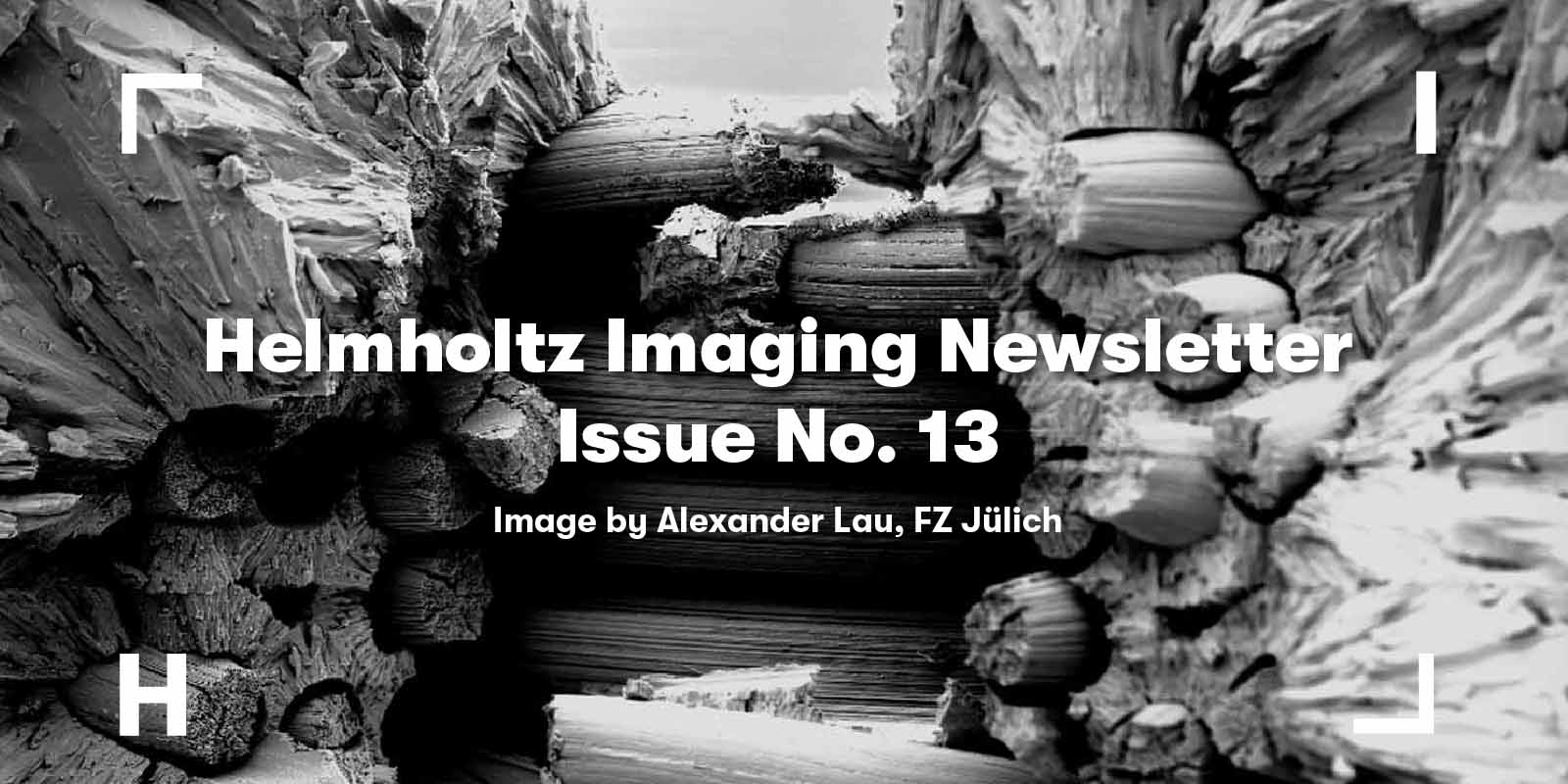 Decorative image to promote the most recent Helmholtz Imaging Newsletter