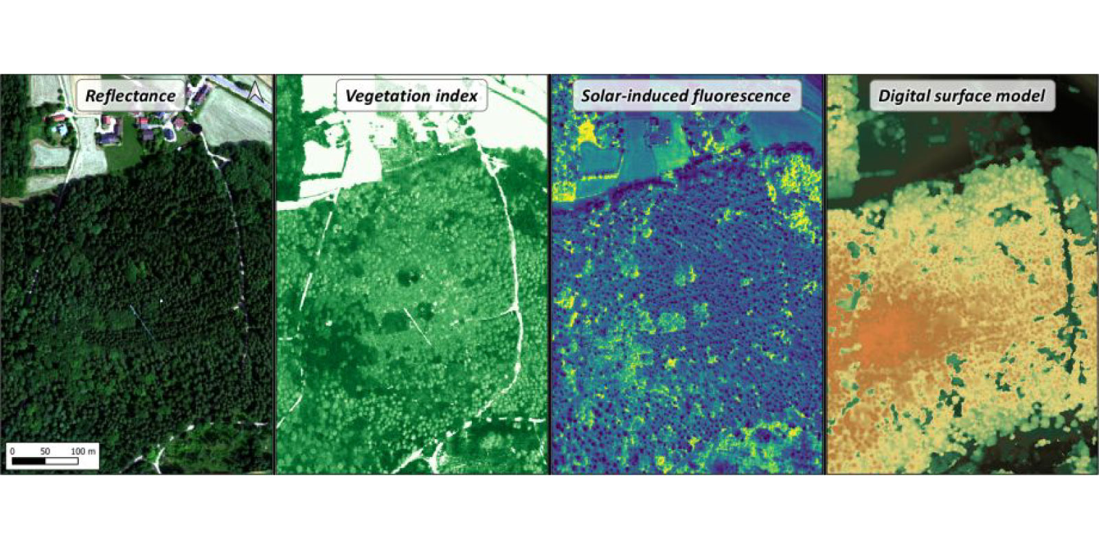 Image of HI Project "3DforestSIF"