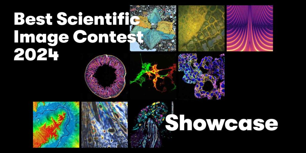 Decorative image to promote the HI Best Scientific Image Contest 2024 Showcase on Instagram