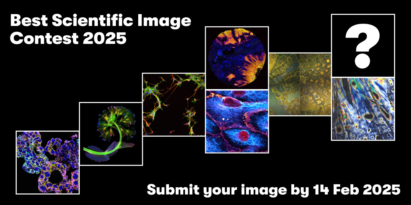 Visual to promote the best scientific image contest 2025