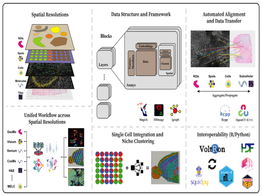 VoltRon is an R based spatial omic analysis toolbox designed for multi-omics integration through spatial image registration. Focused on image registration, VoltRon leverages OpenCV—fully embedded into the package using Rcpp—to detect common features across images, ensuring precise alignment of multiple spatially-aware data modalities.