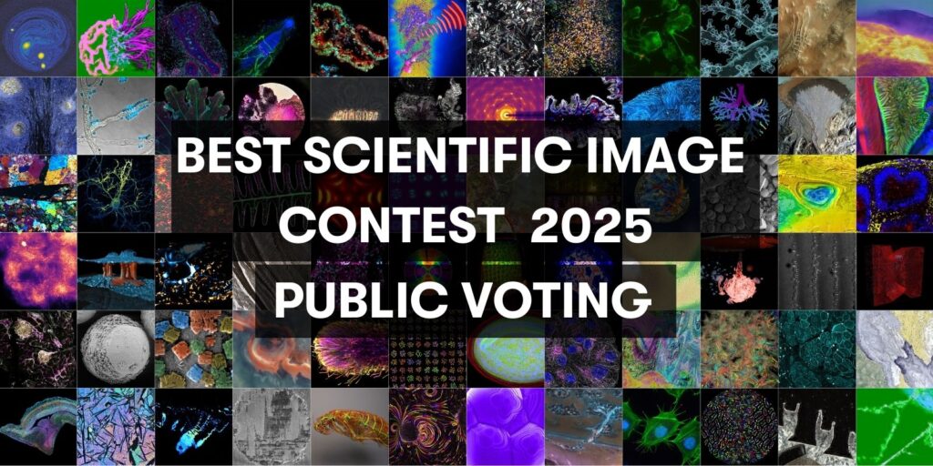 Visual to promote the Helmholtz Imaging Best Scientific Image Contest 2025 Public Choice Award Voting