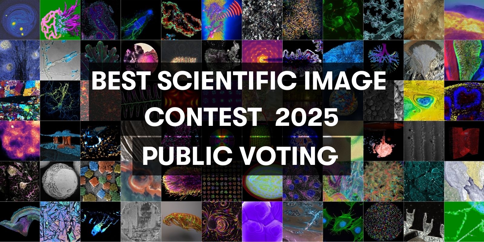 Visual to promote the Helmholtz Imaging Best Scientific Image Contest 2025 Public Choice Award Voting