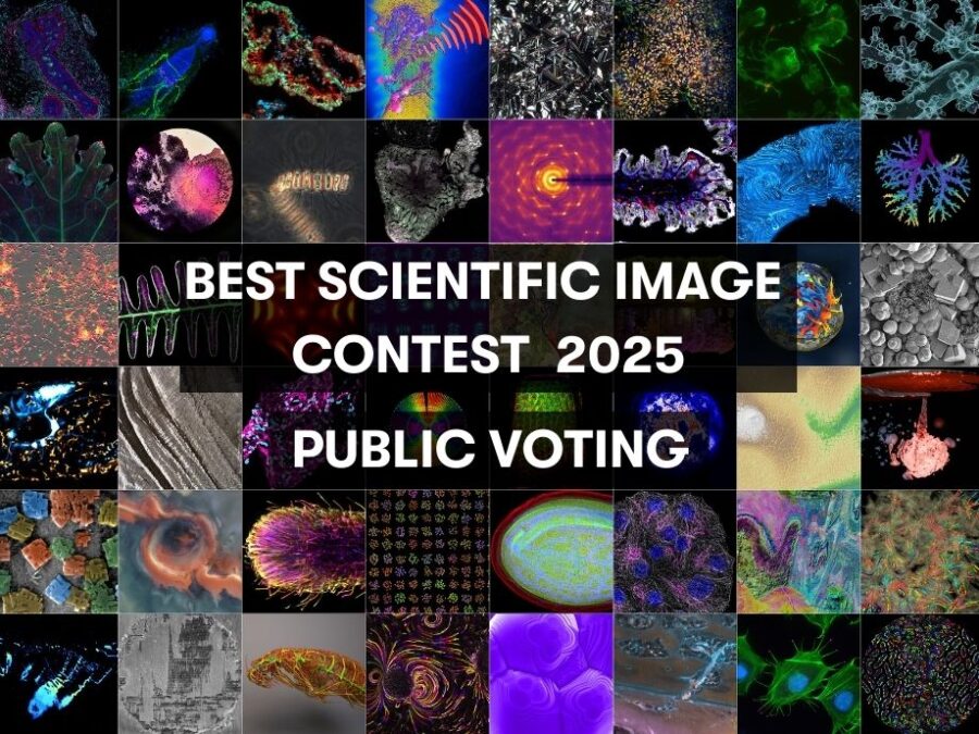 Visual to promote the Helmholtz Imaging Best Scientific Image Contest 2025 Public Choice Award Voting