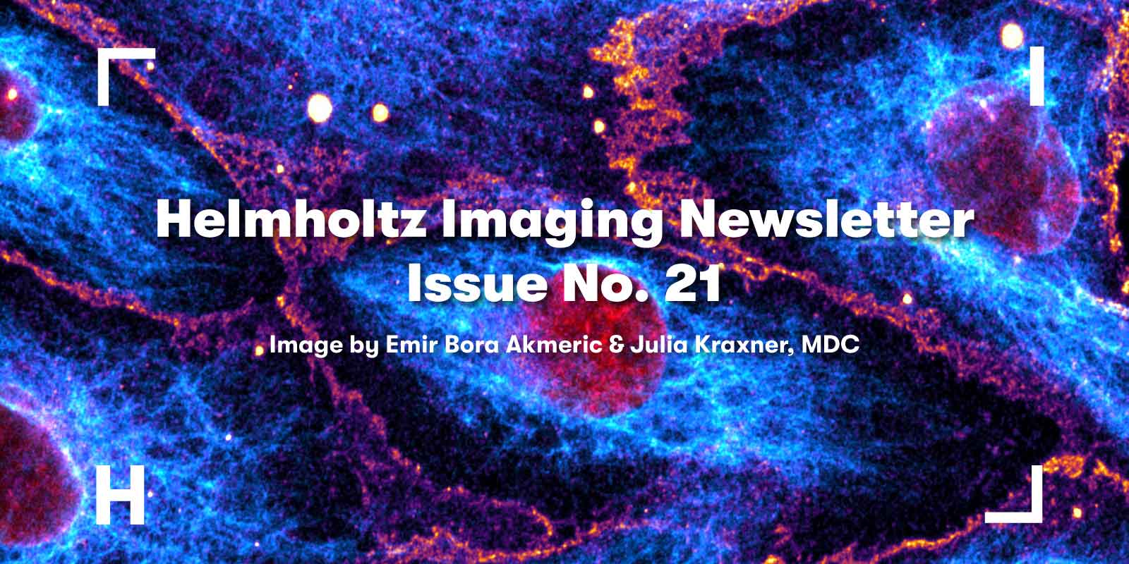 Visual to promote the HI Newsletter No. 21