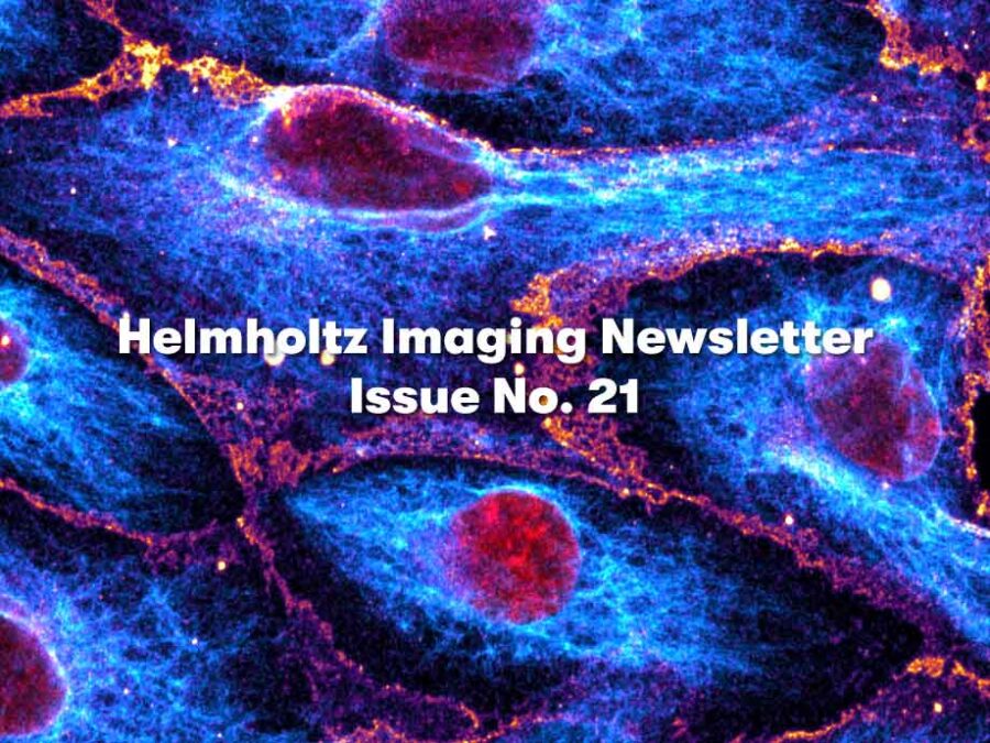 Visual to promote the HI Newsletter No. 21