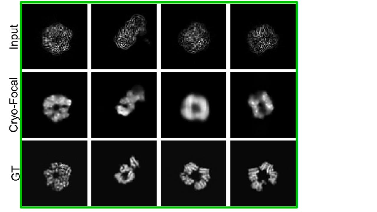 Helmholtz Imaging Project cryoFocal, image for overview page