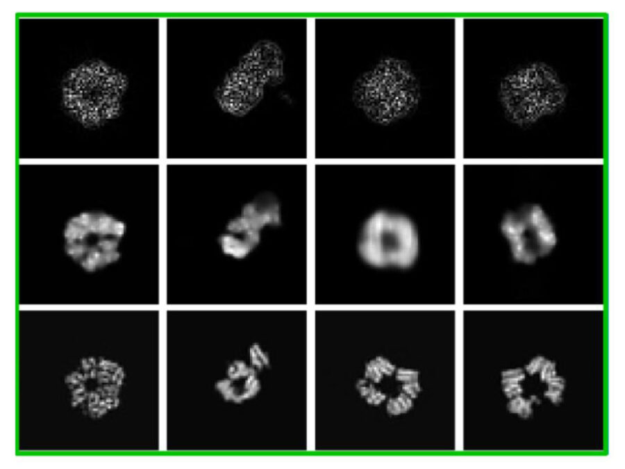Helmholtz Imaging Project cryoFocal, image for overview page