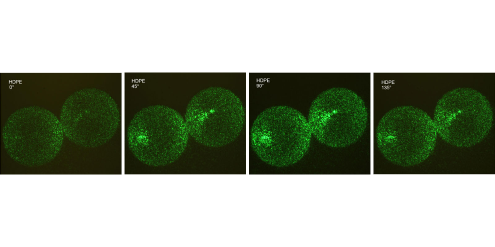 Visual for Helmholtz Imaging Project PlastoView
