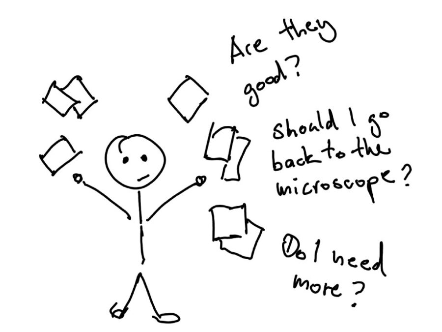 visual used in image prevalidation workshop