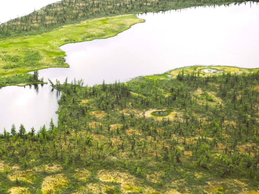 Visual, Helmholtz Imaging Project POINTR, topic: Mapping Boreal Forest Change Using 3D Radar and Point Cloud Data