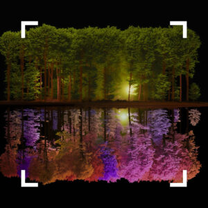 Decorative visual; Helmholtz Imaging Best Scientific Contest 2025 Winning image