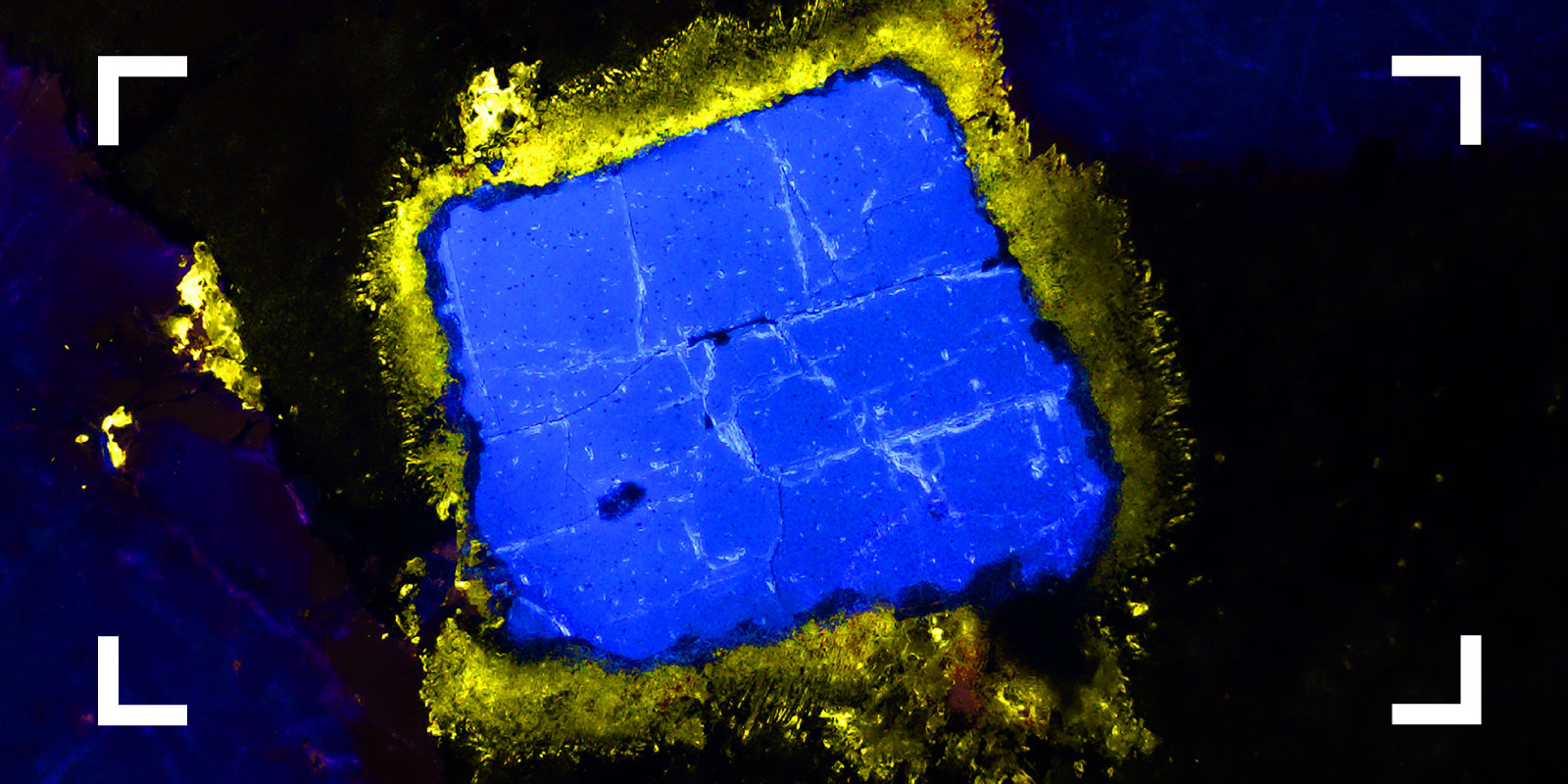 Visual to promote new Helmholtz Omero Instance; image by Robert Möckel from HZDR