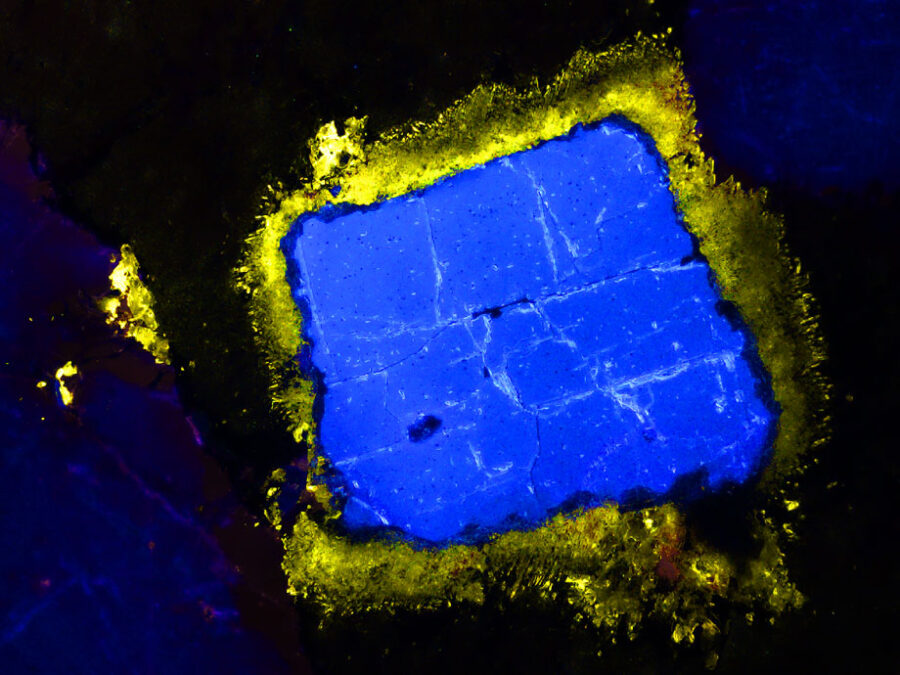 Visual to promote new Helmholtz Omero Instance; image by Robert Möckel from HZDR