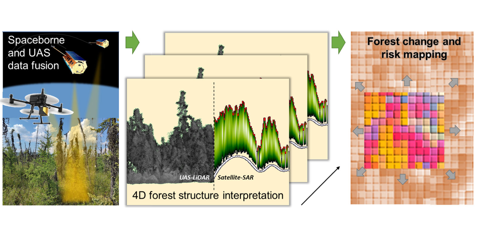 Visual, Helmholtz Imaging Project POINTR, topic: Mapping Boreal Forest Change Using 3D Radar and Point Cloud Data