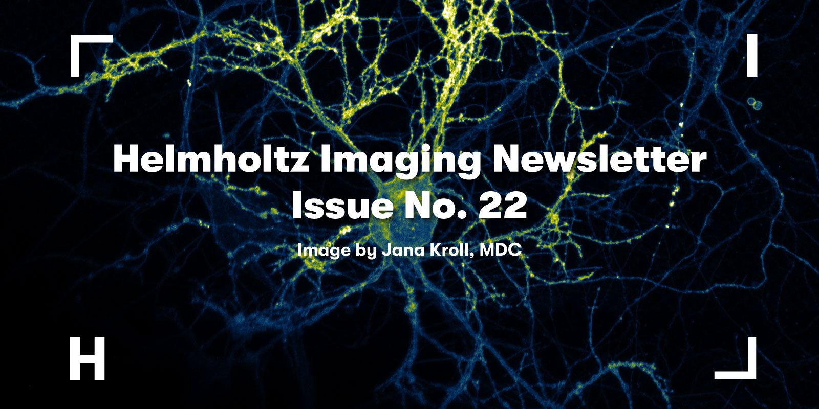 Visual to promote the Helmholtz Imaging Newsletter No. 22