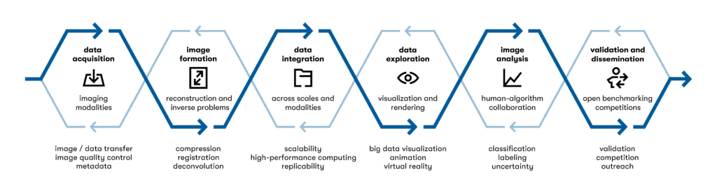 Helmholtz Imaging pipeline supporting imaging from data acquisition to dissemination. Helmholtz Imaging’s holistic scope facilitates the incorporation of feedback loops.