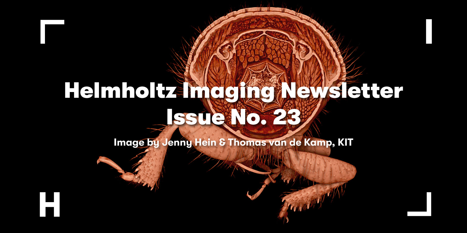 Visual to promote the Helmholtz Imaging Newsletter No. 23