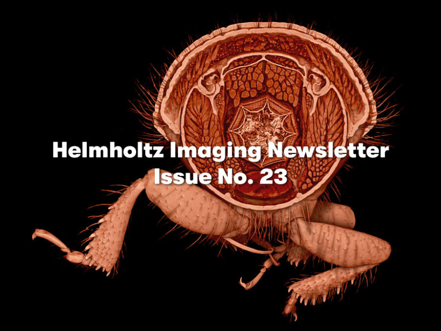 Visual to promote the Helmholtz Imaging Newsletter No. 23