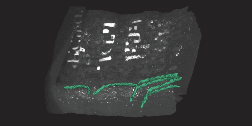 Image by Lars Krämer. 3D visualization of the Georgian codex (MS 2058/1), with the internal binding cord segmented using nnInteractive (green).