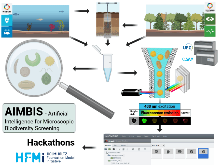 Manual microscopic biodiversity monitoring is time consuming and expert requiring thus limits the potential for biodiversity monitoring and hence to recognize risks climate and environmental changes on biodiversity related to crucial ecosystem functions.