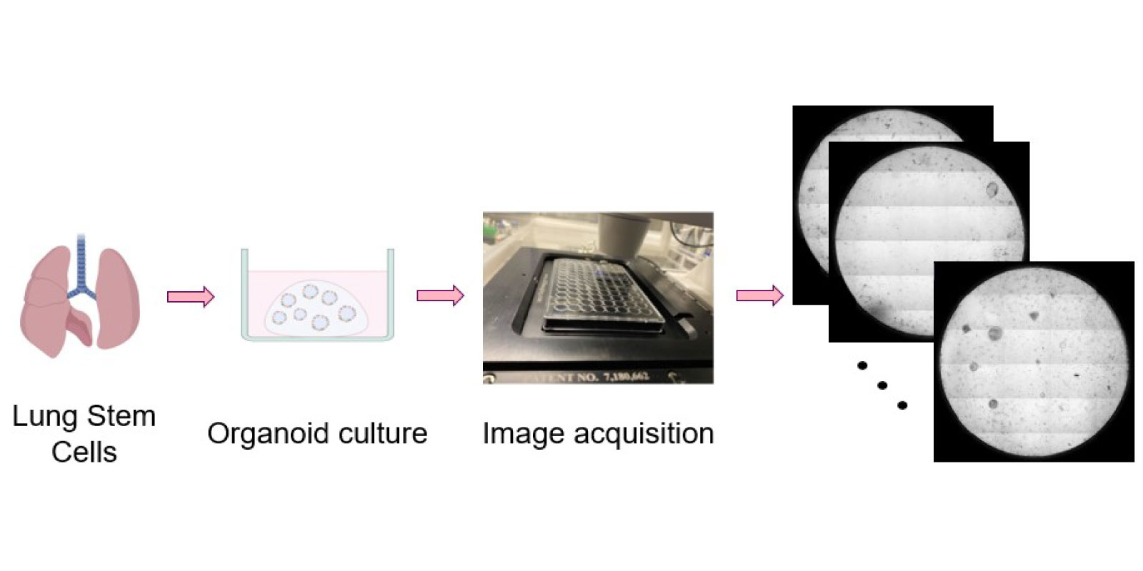 Visual for UQOB; Creating a benchmark dataset for object-detection and Uncertainty Quantification (UQ) in a multi-rater setting, to address annotation variability and AI model evaluation.