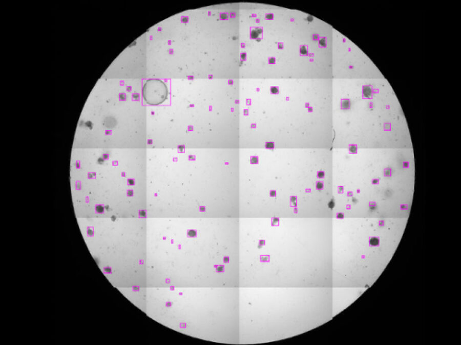 Visual for UQOB; Creating a benchmark dataset for object-detection and Uncertainty Quantification (UQ) in a multi-rater setting, to address annotation variability and AI model evaluation.