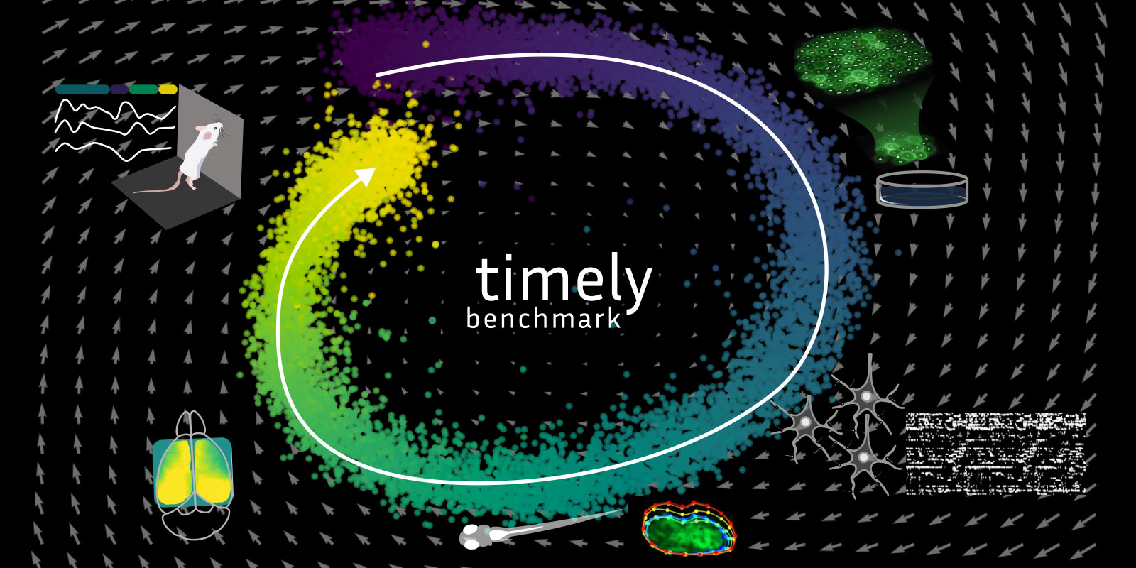 Visual for UNLOCK project TIMELY