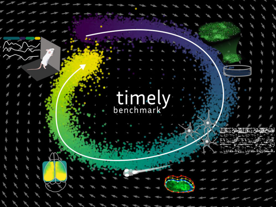 Visual for UNLOCK project TIMELY