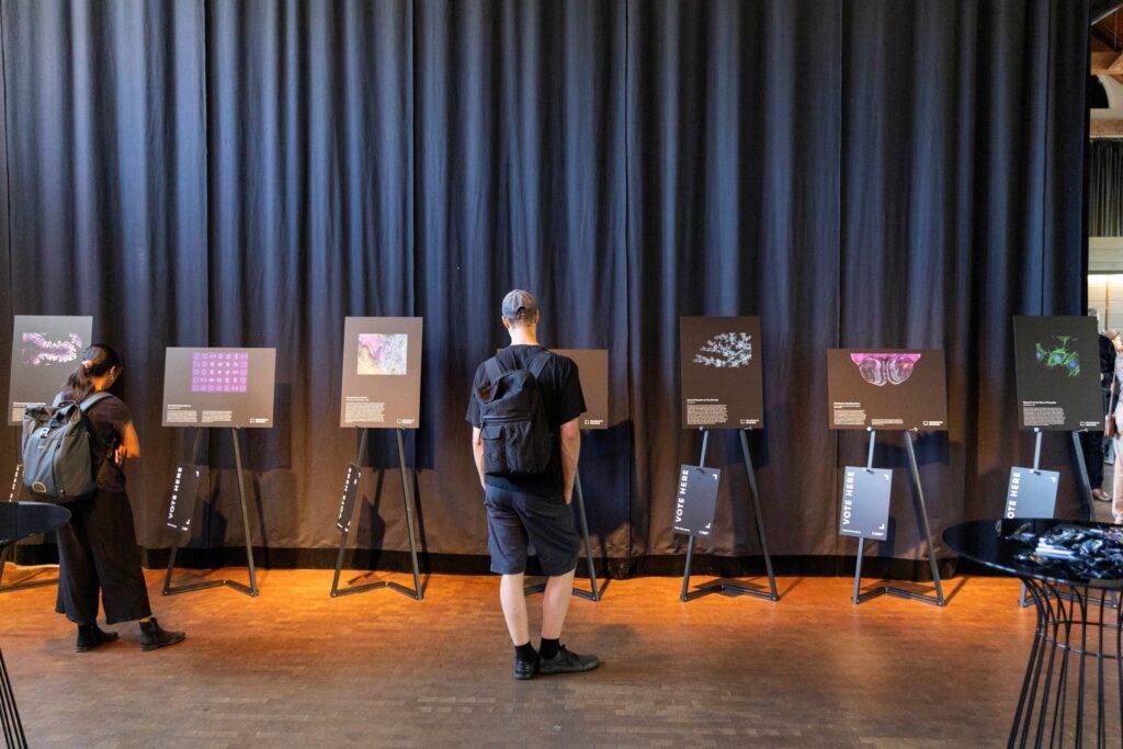 Helmholtz Imaging Conference 2025 participants looking at the Best Scientific Image Contest 2025 exhibit