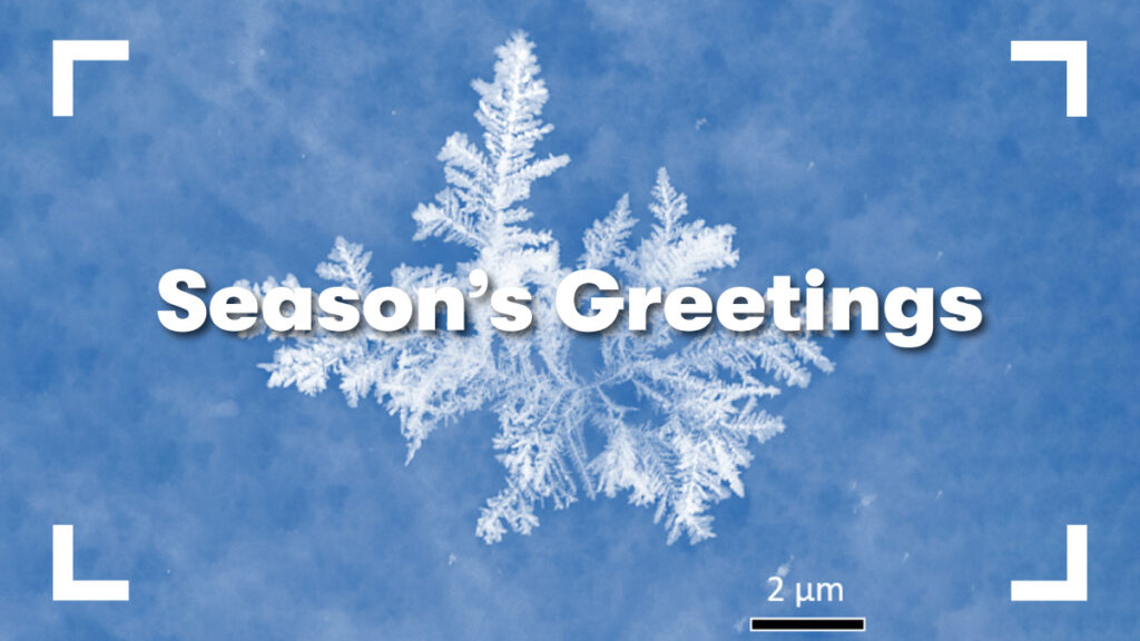 This micrograph shows crystalline residue formed on a magnesium alloy after immersion in a simulated body fluid. 