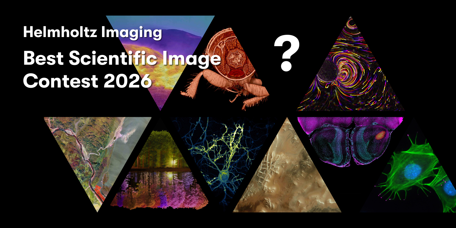 Promotional graphic for the Best Scientific Images 2026 call, showing a black background with past winning images arranged in triangular shapes. One triangle displays a question mark, symbolizing the search for the next winning image.