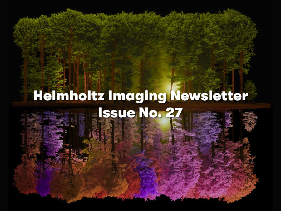 Promotional graphic for “Helmholtz Imaging Newsletter Issue No. 27” featuring illuminated trees and their colorful reflection on dark water.