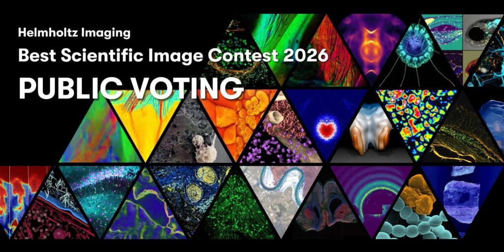 Promotional graphic for the Helmholtz Imaging Best Scientific Image Contest 2026 public voting, featuring a collage of colorful contest images arranged in triangular shapes and the words “Public Voting” on a black background.