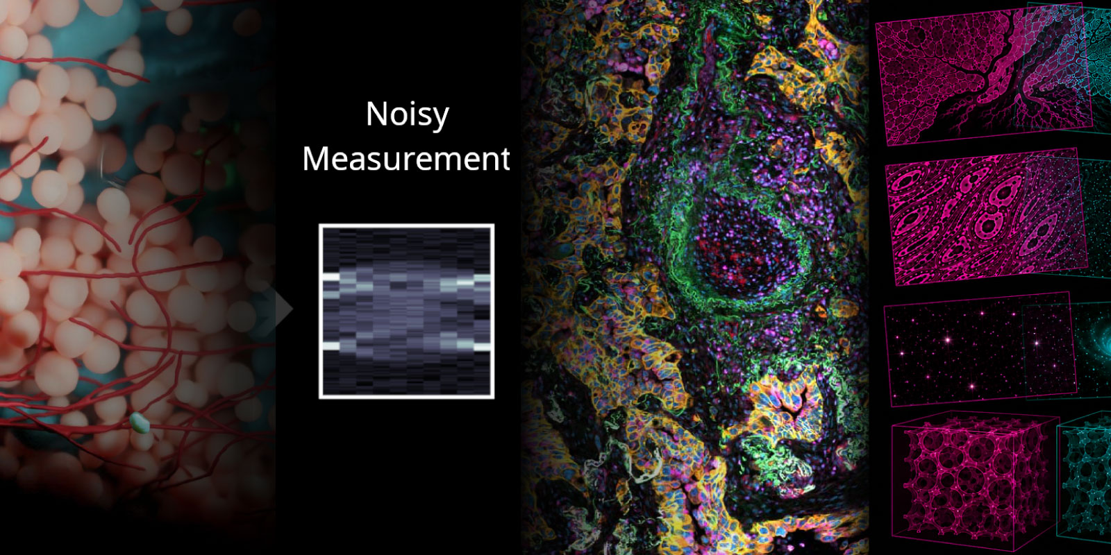 Composite image featuring four scientific imaging examples: an illustration of biological structures, a noisy measurement, a color-enhanced microscopy image, and a schematic demonstrating image fusion.